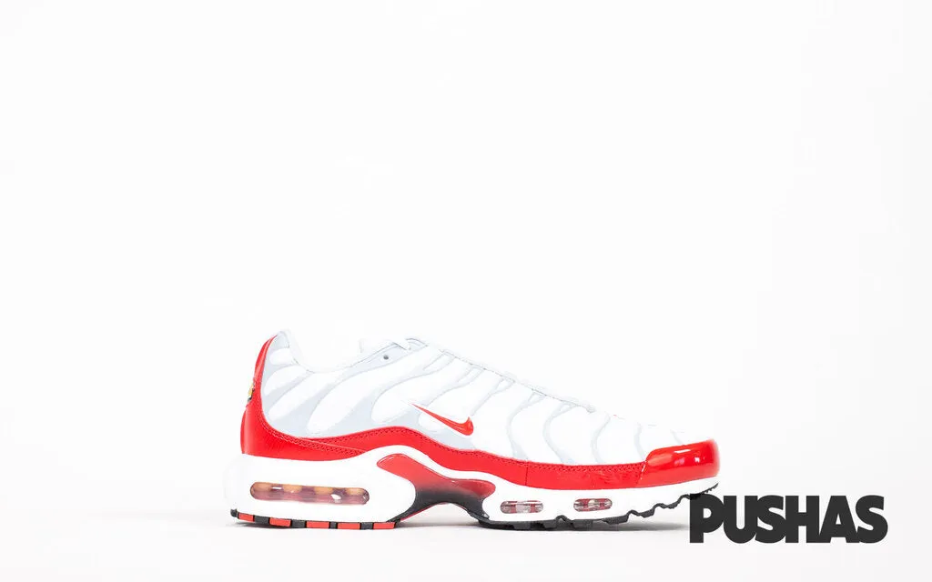 Air Max TN Plus 'Air Max 1' Asics 2e Shoes