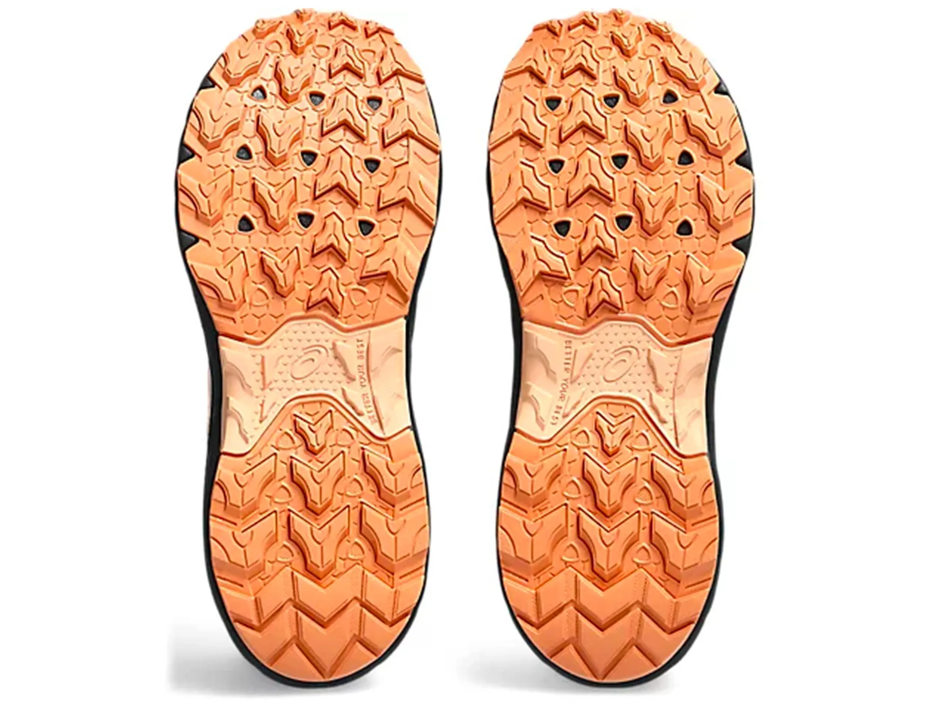 Asics Kids Pre-Venture 9 GS Asics X Hay Shoes