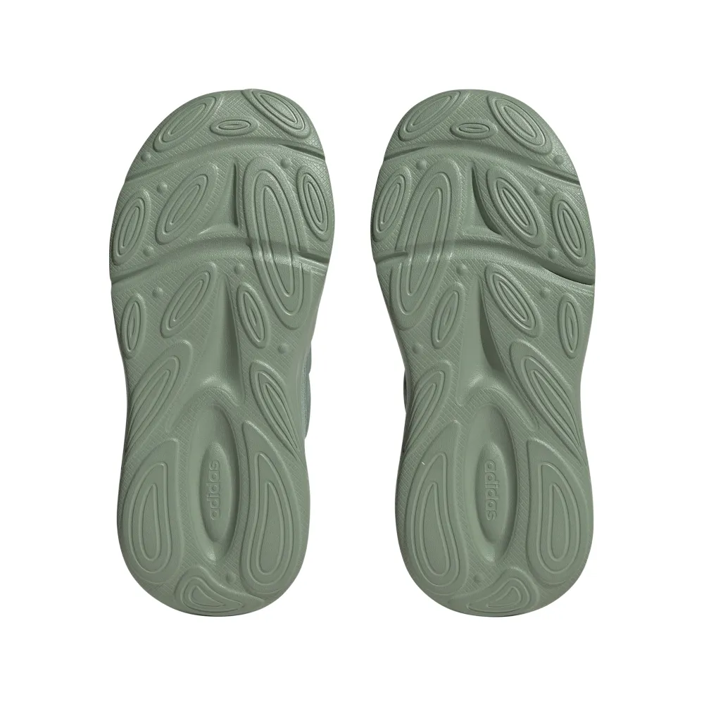 OZELLE Shoes Adidas Shoes Zebra