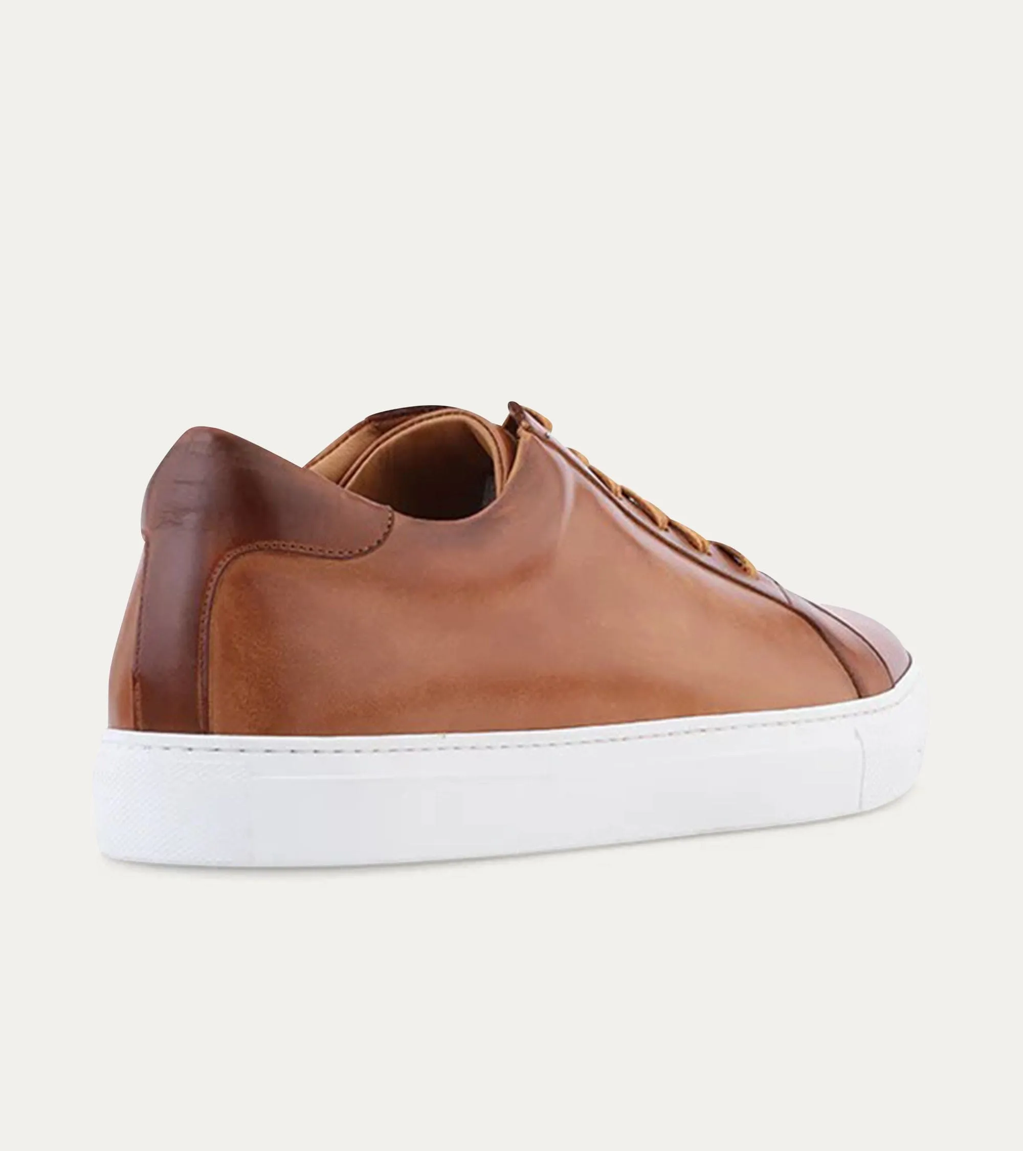 Aarp Sneakers Duke Dress Sneaker Cuoio Nicol