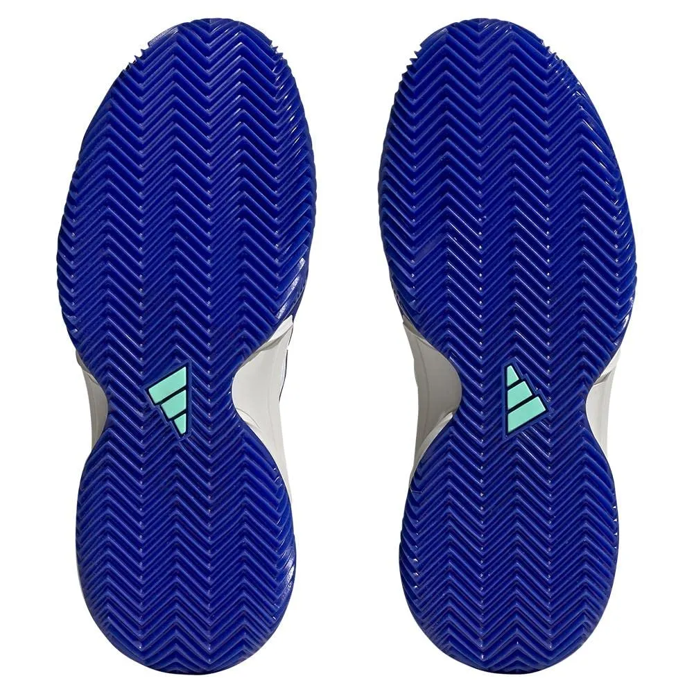 Adidas Court Shoes Tennis adidas Women`s Barricade Clay Tennis Shoes Lucid Blue and Violet Fusion