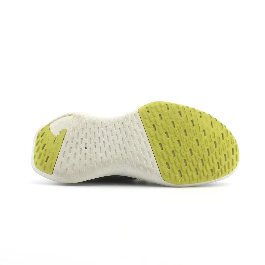 Running Shoes Revel ALLBIRDS  WOOL DASHER