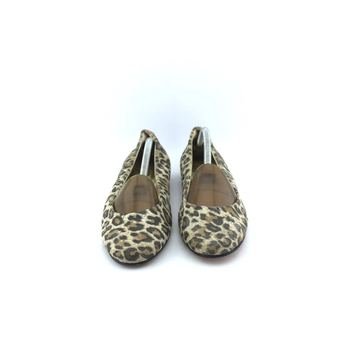 Elephant With Slippers ANDREA CARRANO .