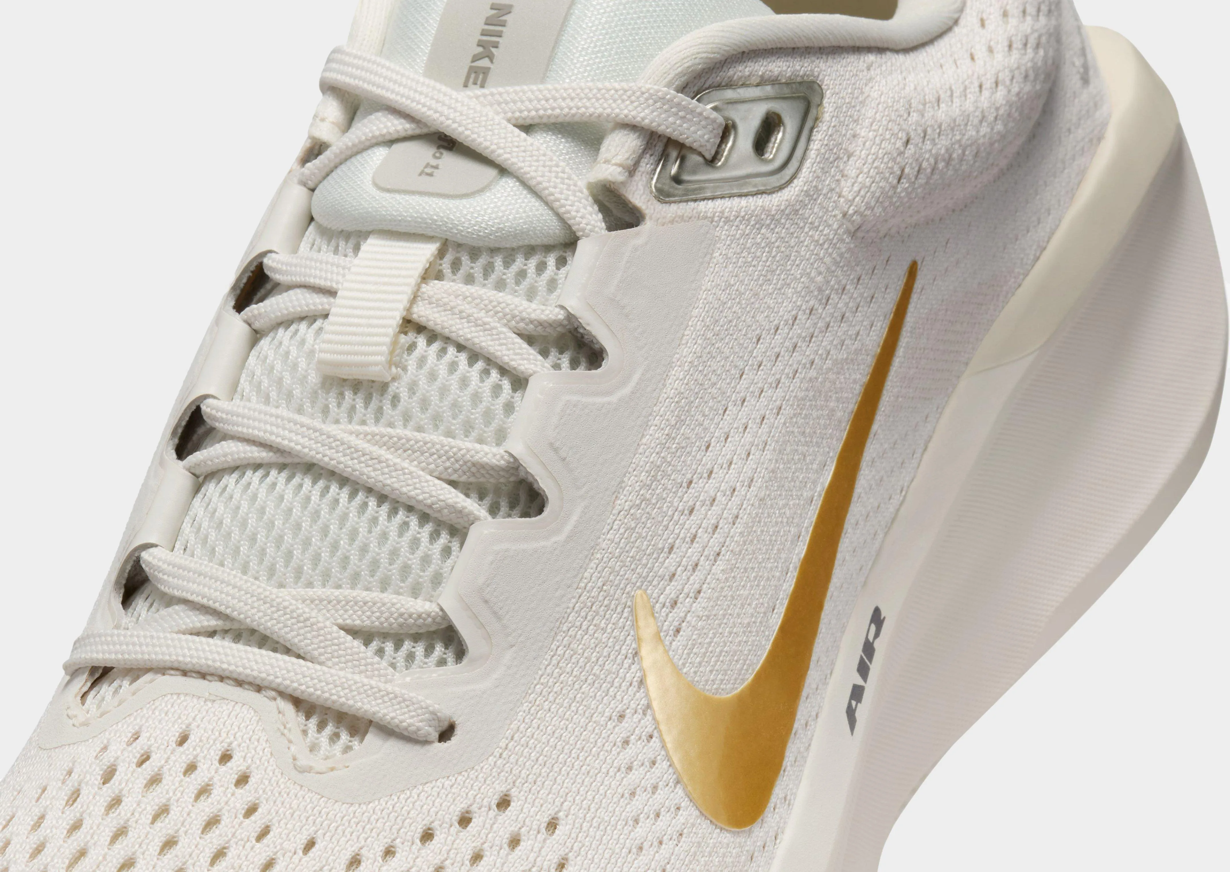 Hay X Asics Shoes Winflo 11 Women's